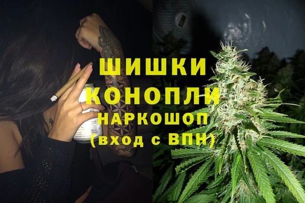сатива Медвежьегорск