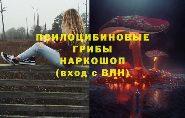 2c-b Магадан